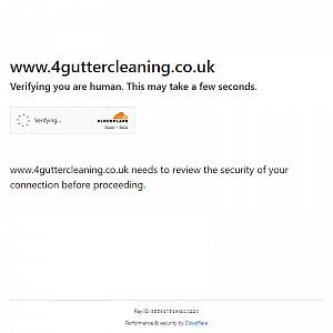 Gutter Cleaning Services London